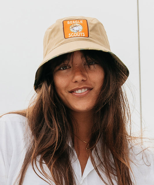 Beagle Scout bucket